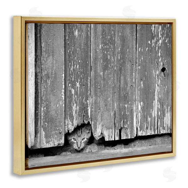 Stupell Industries Steve Toole | Rustic Cat Peeking