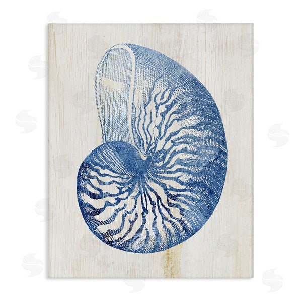 stupell industries Susan Arnot | Blue Nautilus Shell