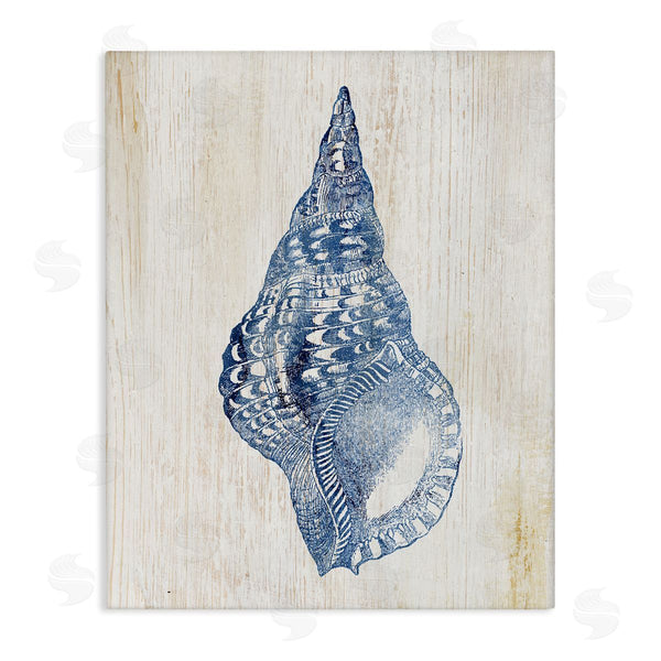 stupell industries Susan Arnot | Tranquil Blue Shell