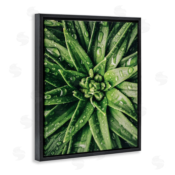 Stupell Industries Susan Ball | Succulent In Rain