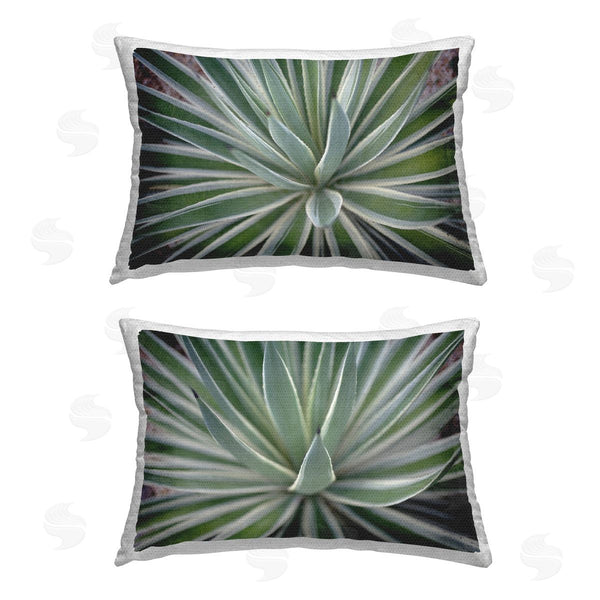 Stupell Industries Susan Bryant | Agave Plant Leaves