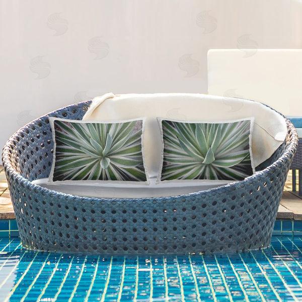 Stupell Industries Susan Bryant | Agave Plant Leaves
