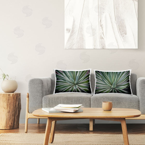 stupell industries Susan Bryant | Agave Plant Leaves