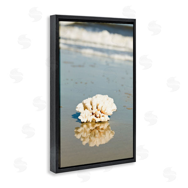 Stupell Industries Susan Bryant | Coral On Sea Shore