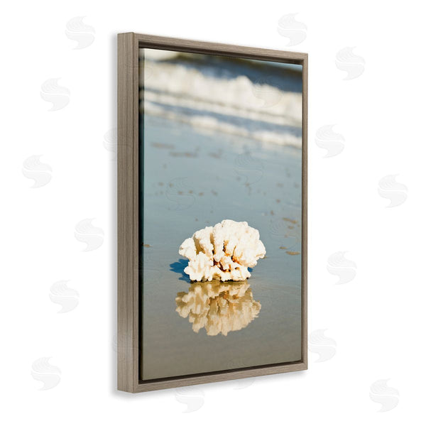 Stupell Industries Susan Bryant | Coral On Sea Shore