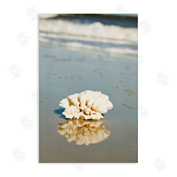 stupell industries Susan Bryant | Coral on Sea Shore