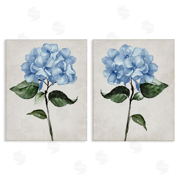 stupell industries Val Rhodes | Blue Hydrangea Stems