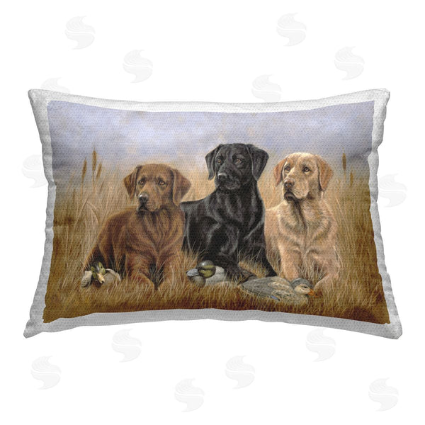 Stupell Industries Victoria Schultz | Dog Trio & Ducks