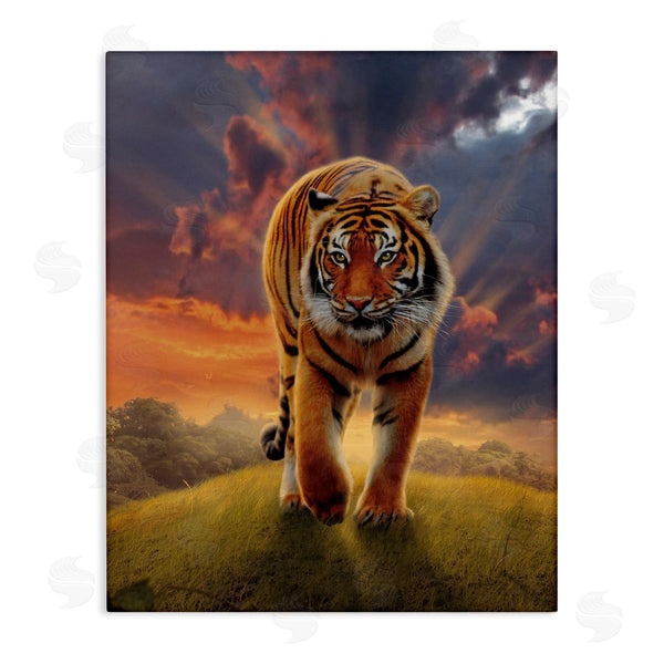 stupell industries Vincent Hie | Rising Tiger Sunset