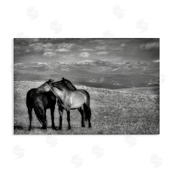 stupell industries Wendy Caro | Focused Horse Duo