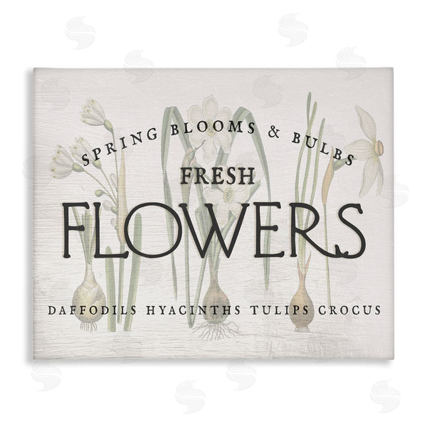 stupell industries Ziwei Li | Fresh Flowers Market