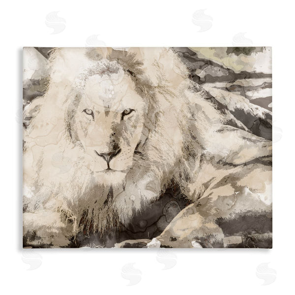 stupell industries Stupell Studio | Abstract Sepia Jungle Lion Portrait