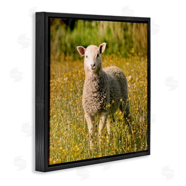 Stupell Industries Stupell Studio | Alert Baby Lamb Gazing Yellow Wild Flower Blossoms Wall Art