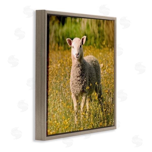 Stupell Industries Stupell Studio | Alert Baby Lamb Gazing Yellow Wild Flower Blossoms Wall Art
