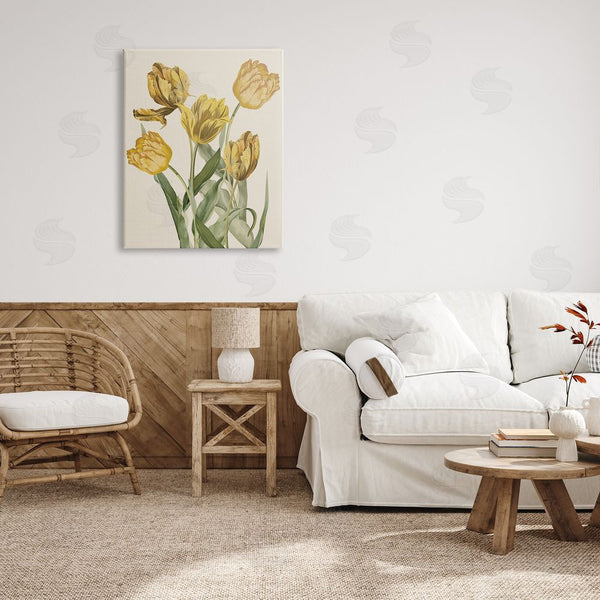 Stupell Industries Stupell Studio | Antique Yellow Tulips Wall Art