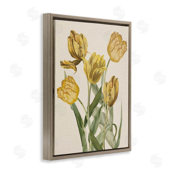 Stupell Industries Stupell Studio | Antique Yellow Tulips Wall Art