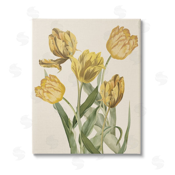 stupell industries Stupell Studio | Antique Yellow Tulips Wall Art