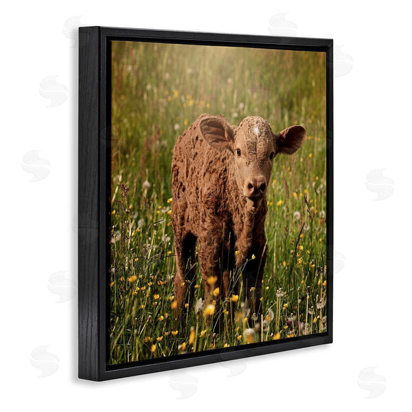 Stupell Industries Stupell Studio | Baby Calf Cow Among Flower Blossom Meadow Wall Art