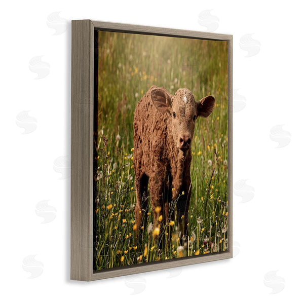 Stupell Industries Stupell Studio | Baby Calf Cow Among Flower Blossom Meadow Wall Art