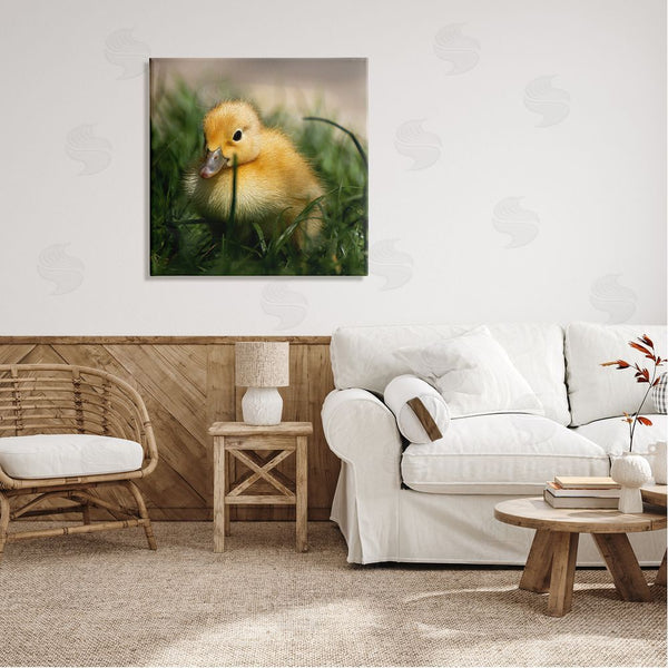 Stupell Industries Stupell Studio | Baby Duckling In Grass Photography Wall Art
