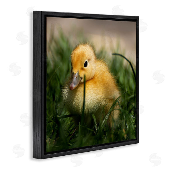 Stupell Industries Stupell Studio | Baby Duckling In Grass Photography Wall Art