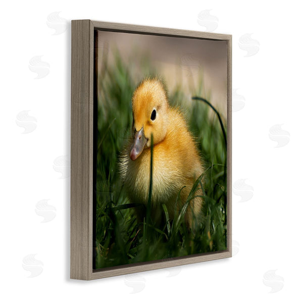 Stupell Industries Stupell Studio | Baby Duckling In Grass Photography Wall Art