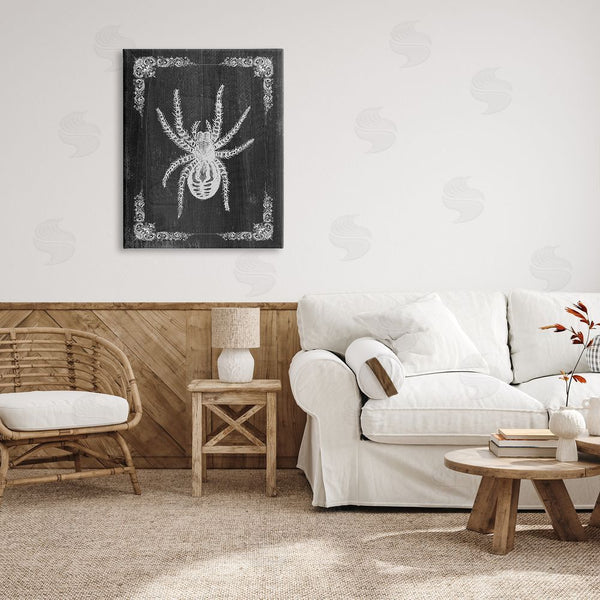 Stupell Industries Stupell Studio | Black & White Spider Wall Art