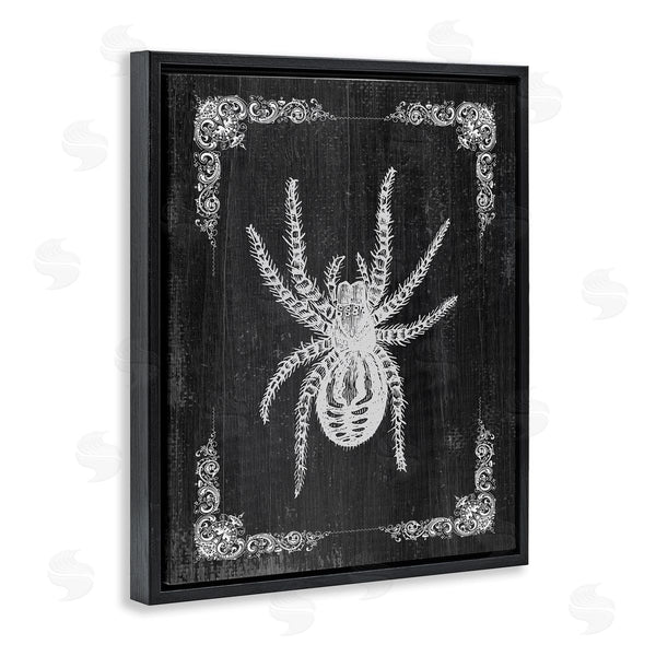 Stupell Industries Stupell Studio | Black & White Spider Wall Art