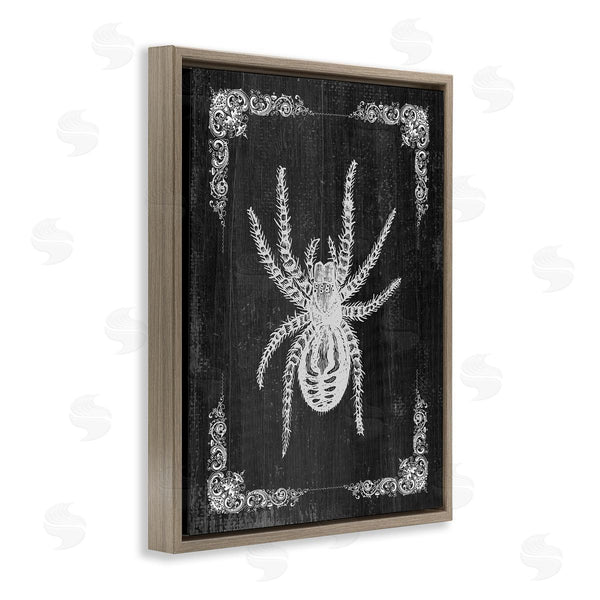 Stupell Industries Stupell Studio | Black & White Spider Wall Art
