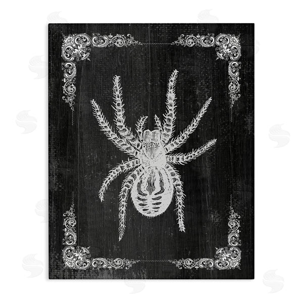 stupell industries Stupell Studio | Black & White Spider Wall Art