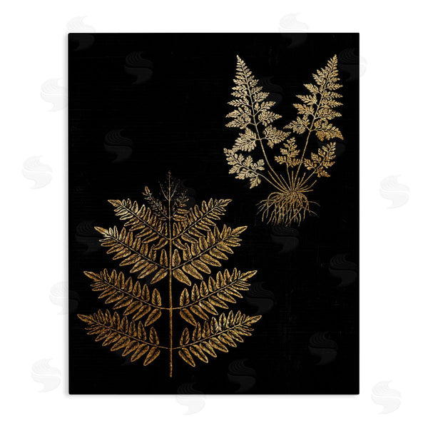 stupell industries Stupell Studio | Bold Fern Blade Illustration Rooted Forest Floor Plants Wall Art