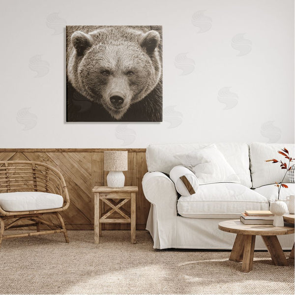 Stupell Industries Stupell Studio | Brown Bear Wildlife Portrait Wall Art