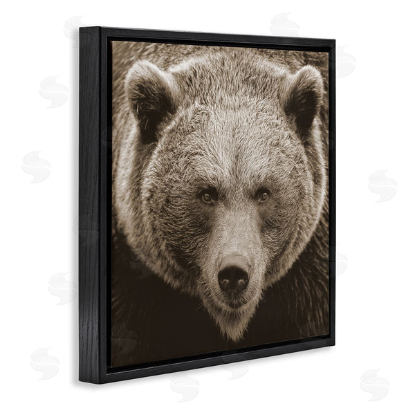 Stupell Industries Stupell Studio | Brown Bear Wildlife Portrait Wall Art