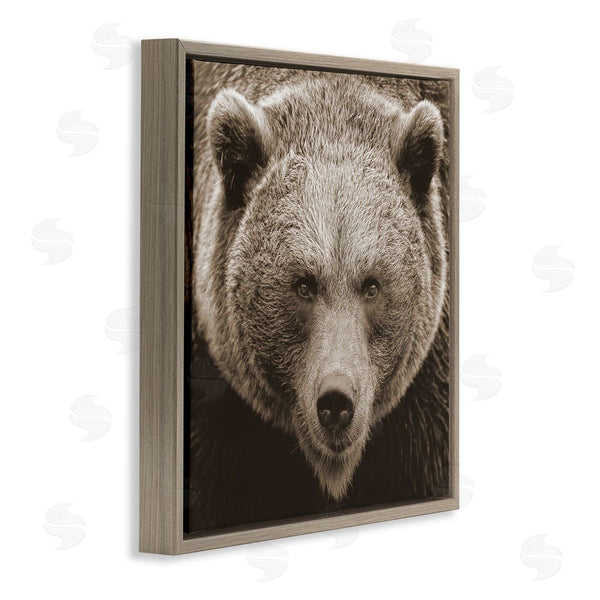 Stupell Industries Stupell Studio | Brown Bear Wildlife Portrait Wall Art