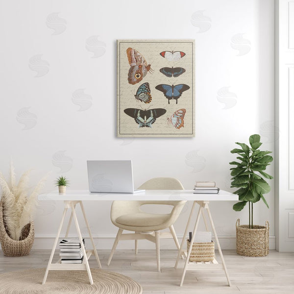 Stupell Industries Stupell Studio | Butterfly And Moth Study Vintage Cursive Script Wall Art