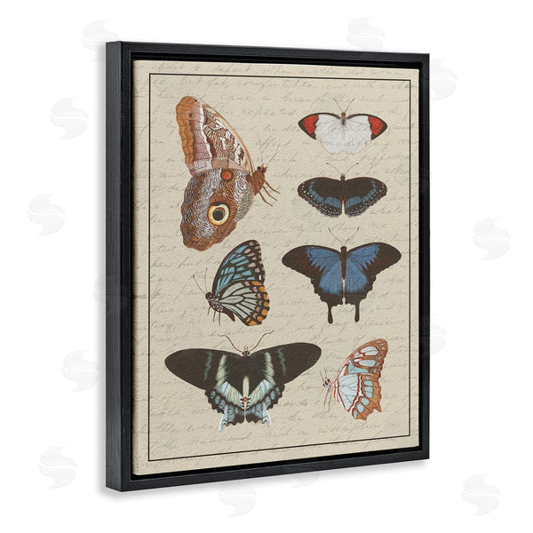 Stupell Industries Stupell Studio | Butterfly And Moth Study Vintage Cursive Script Wall Art