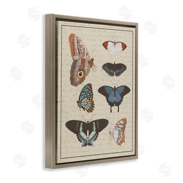 Stupell Industries Stupell Studio | Butterfly And Moth Study Vintage Cursive Script Wall Art