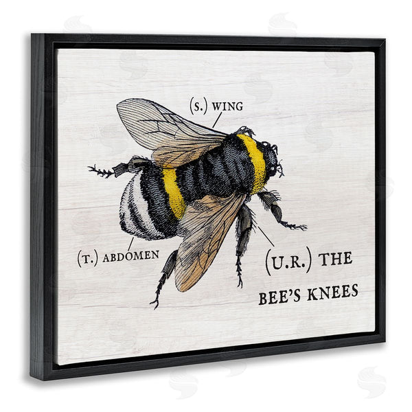 Stupell Industries Stupell Studio | Charming Bee's Knees Anatomy