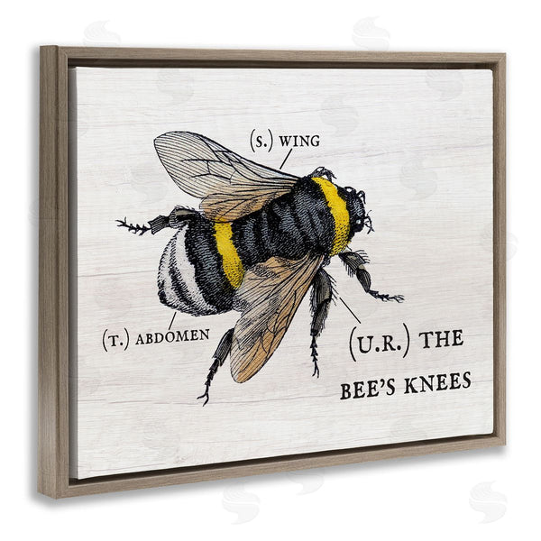 Stupell Industries Stupell Studio | Charming Bee's Knees Anatomy