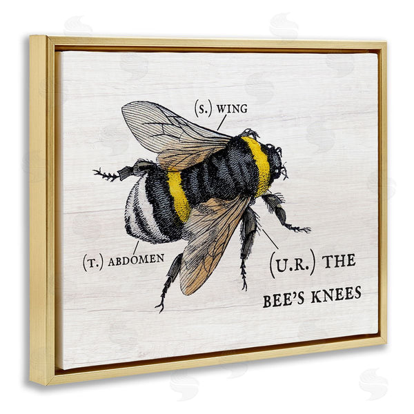 Stupell Industries Stupell Studio | Charming Bee's Knees Anatomy