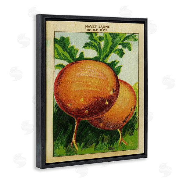 Stupell Industries Stupell Studio | Country Vintage Onions