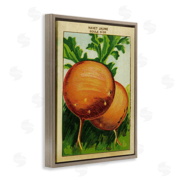 Stupell Industries Stupell Studio | Country Vintage Onions
