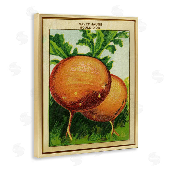 Stupell Industries Stupell Studio | Country Vintage Onions