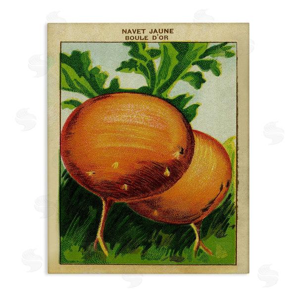 stupell industries Stupell Studio | Country Vintage Onions