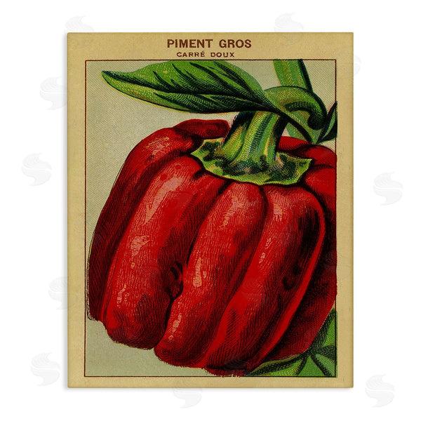 stupell industries Stupell Studio | Country Vintage Pepper
