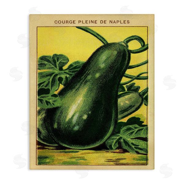 stupell industries Stupell Studio | Country Vintage Squash