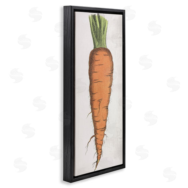 Stupell Industries Stupell Studio | Detailed Carrot Study Wall Art