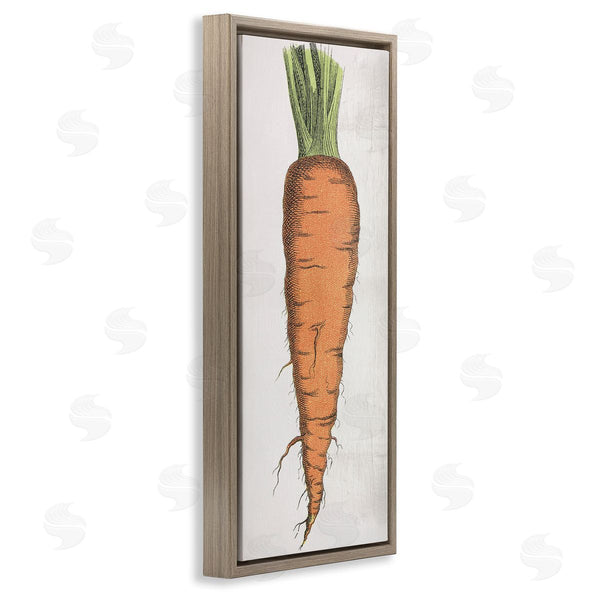 Stupell Industries Stupell Studio | Detailed Carrot Study Wall Art