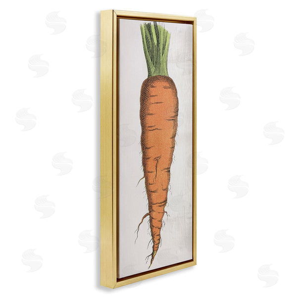 Stupell Industries Stupell Studio | Detailed Carrot Study Wall Art