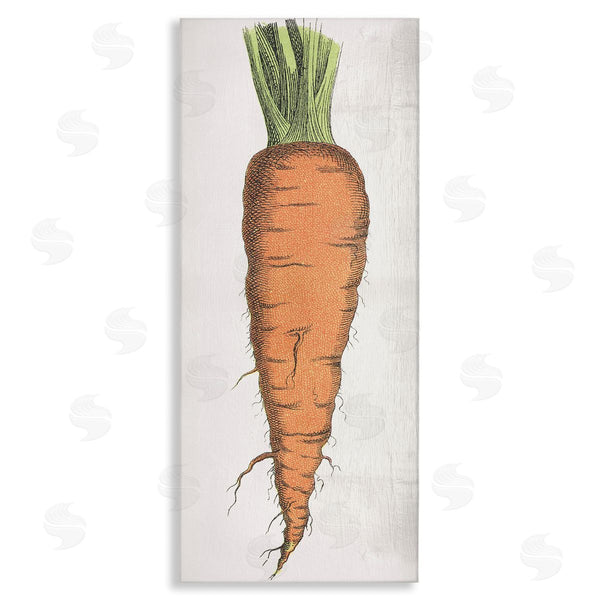 stupell industries Stupell Studio | Detailed Carrot Study Wall Art